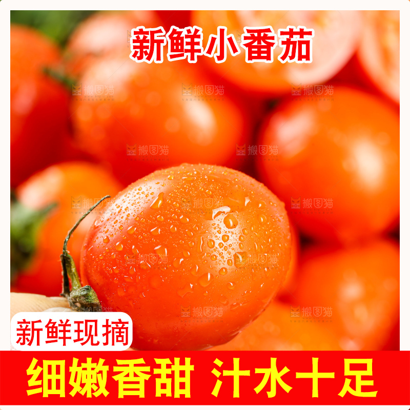 浅底上的小番茄