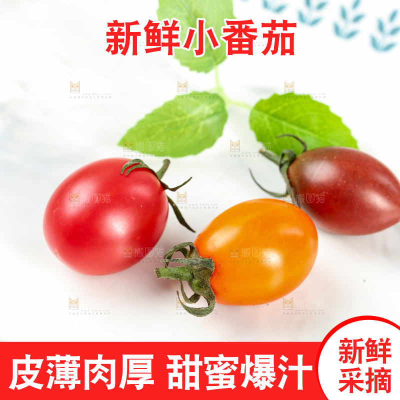 浅底上的小番茄