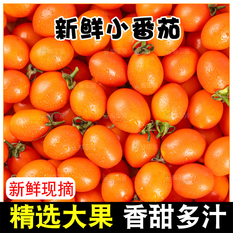 浅底上的小番茄