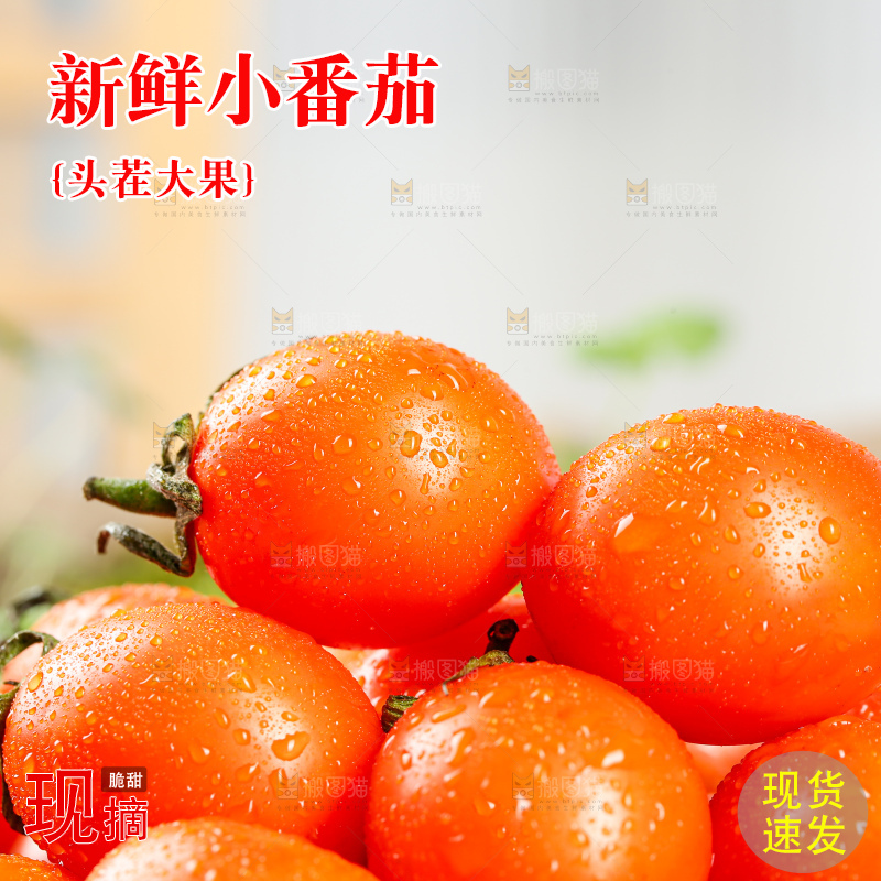 浅底上的小番茄