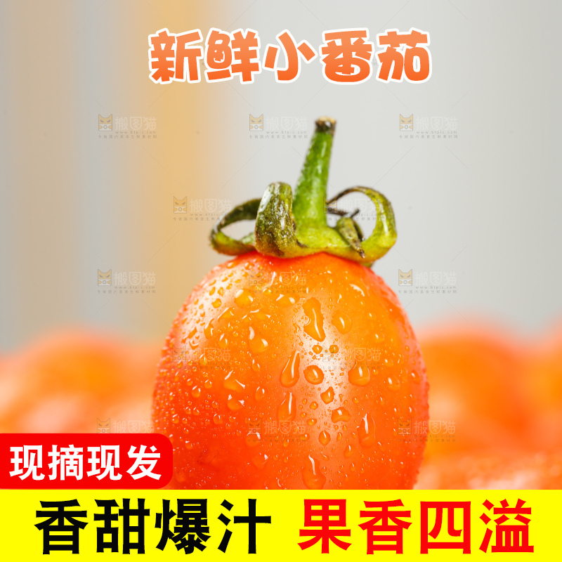 浅底上的小番茄