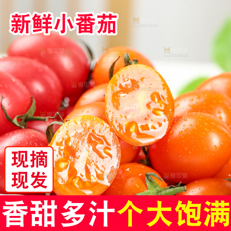 浅底上的小番茄