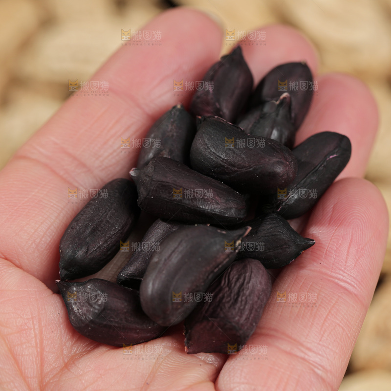 深底上的黑皮花生