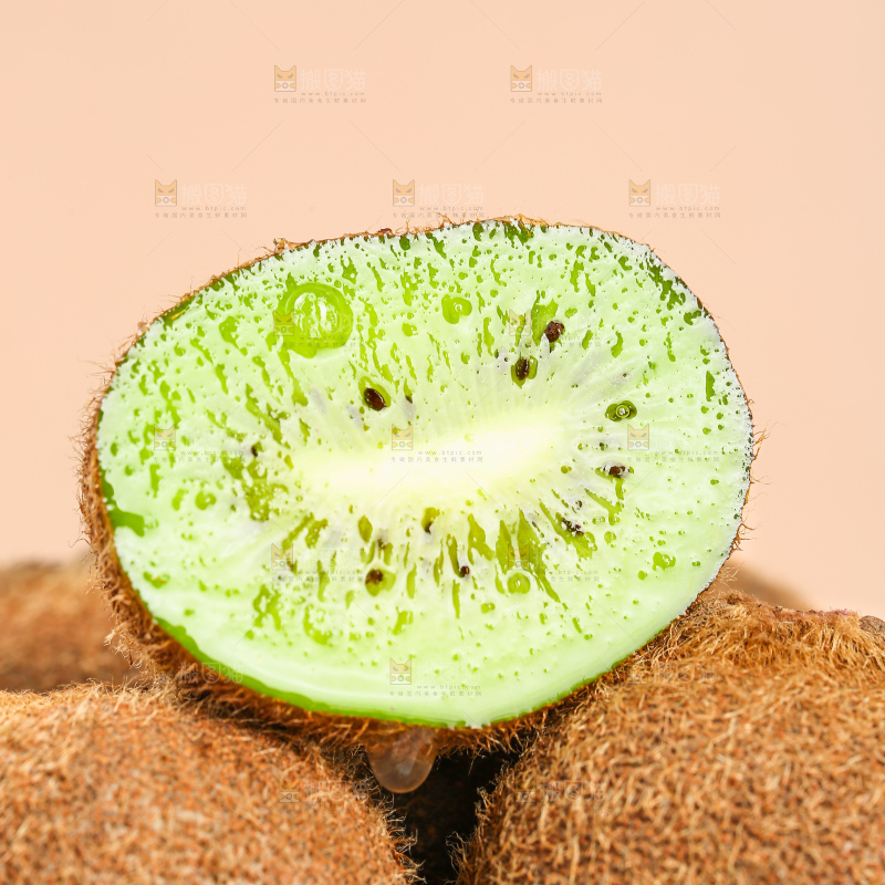 浅底上的修文猕猴桃
