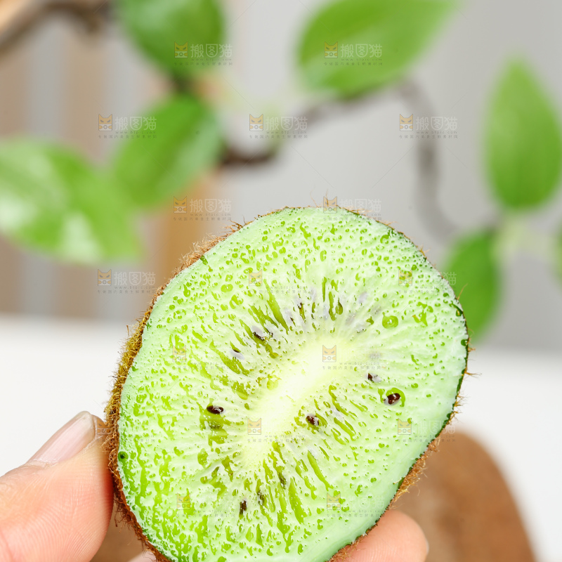 浅底上的修文猕猴桃