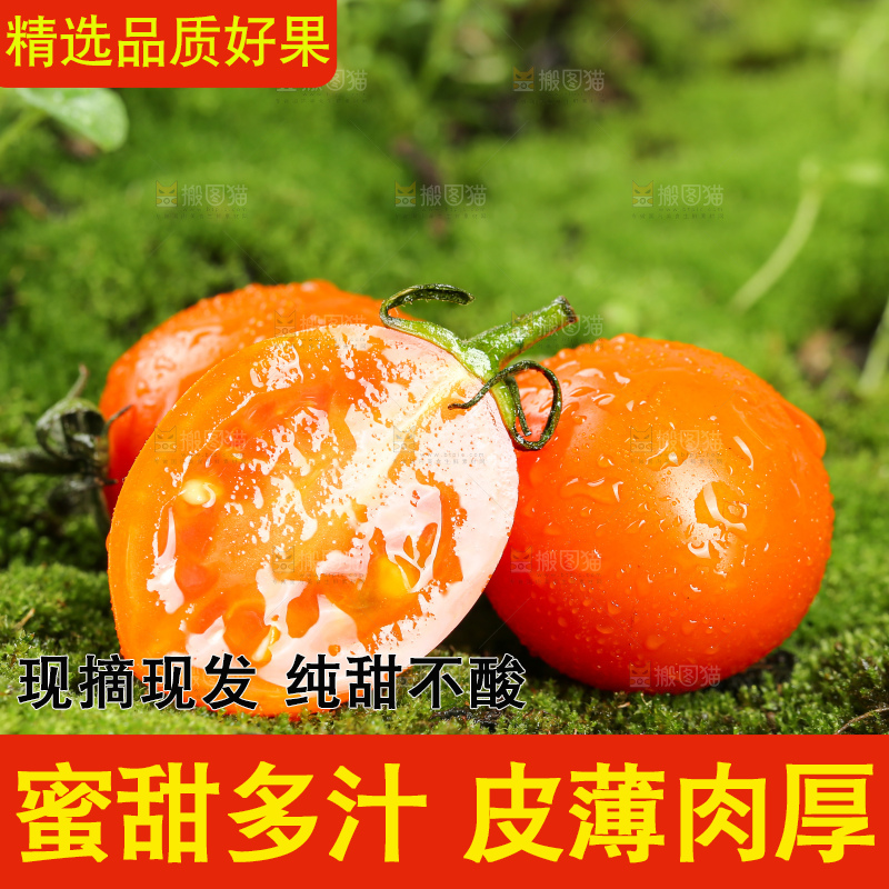 浅底上的小番茄