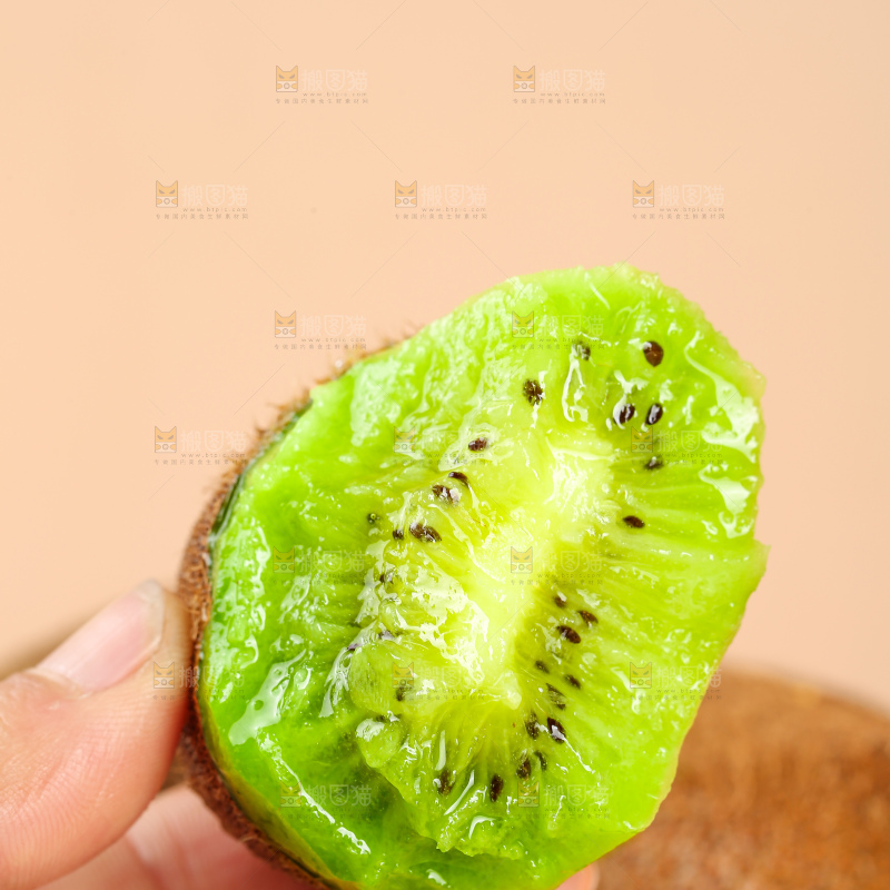 浅底上的修文猕猴桃