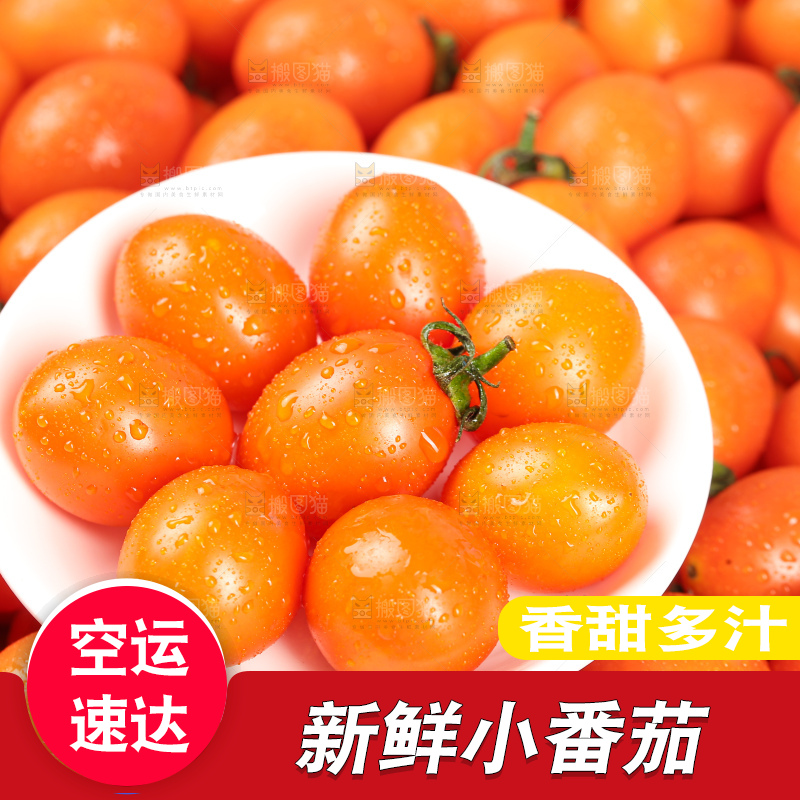 浅底上的小番茄