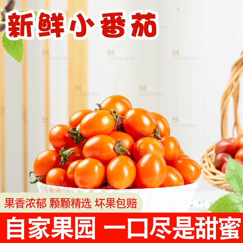 浅底上的小番茄