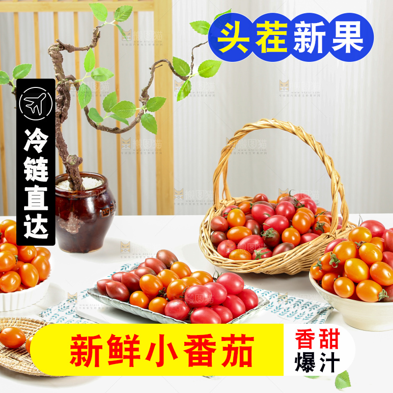 浅底上的小番茄