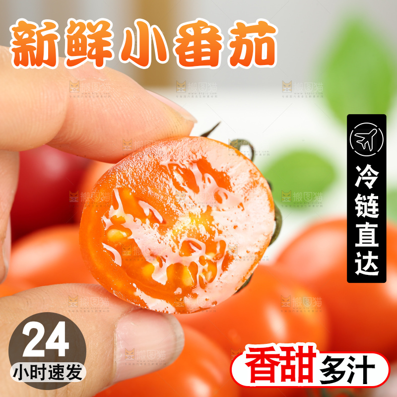 浅底上的小番茄