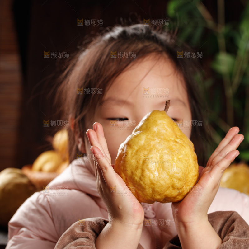 深底上的丑梨