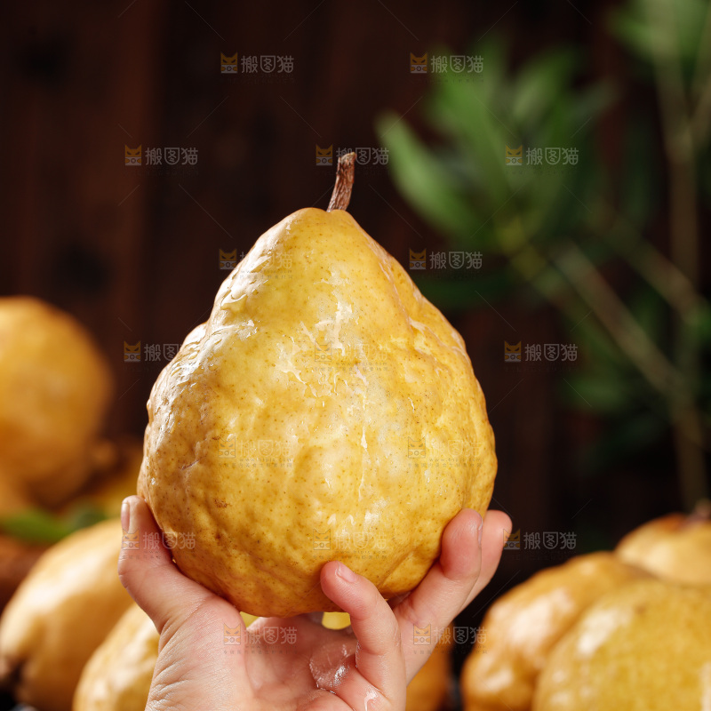 深底上的丑梨