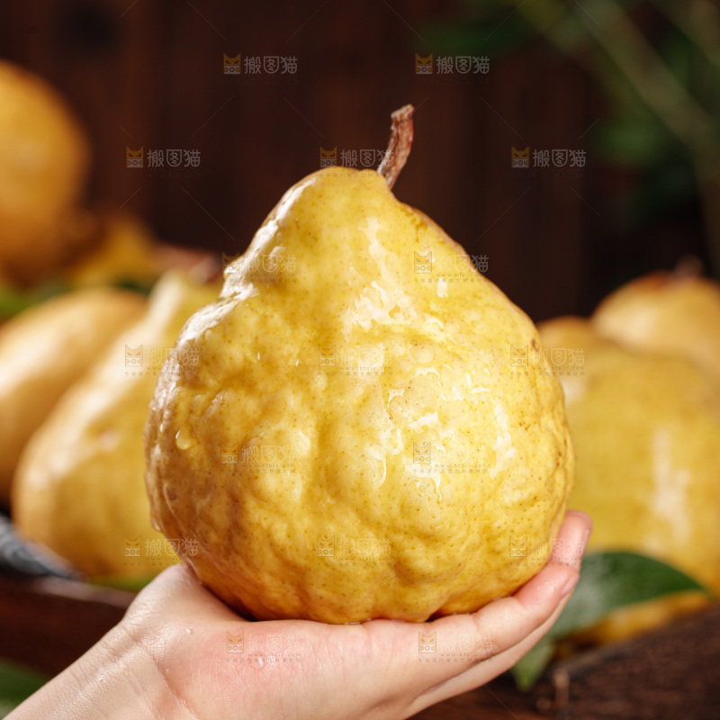 深底上的丑梨