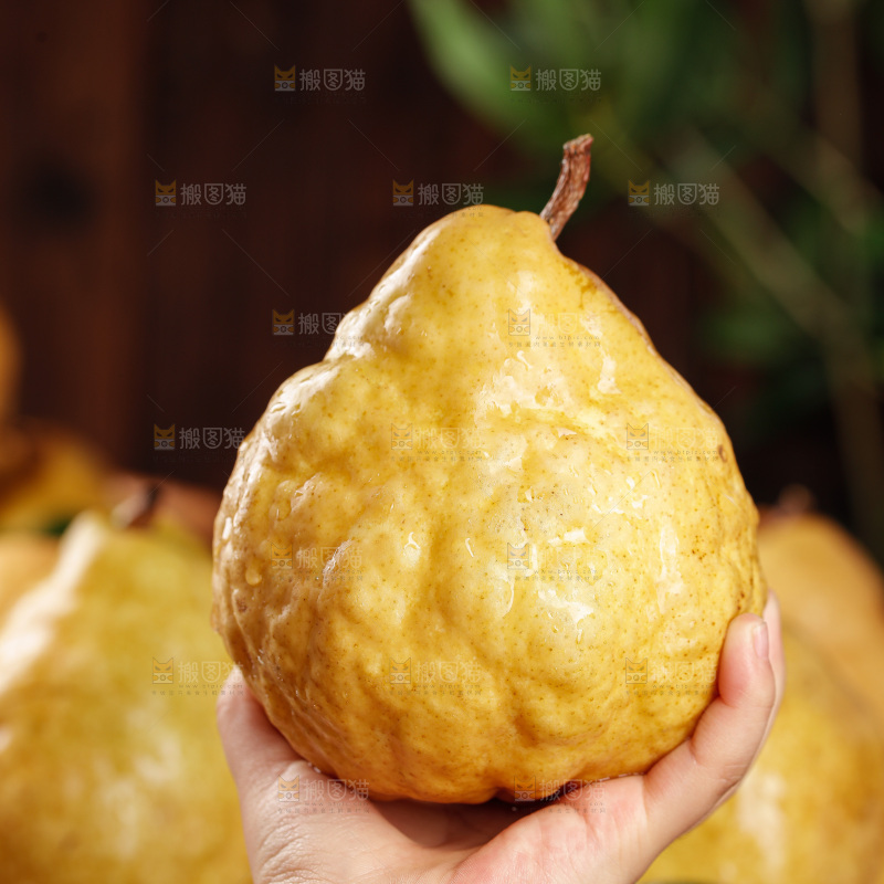深底上的丑梨