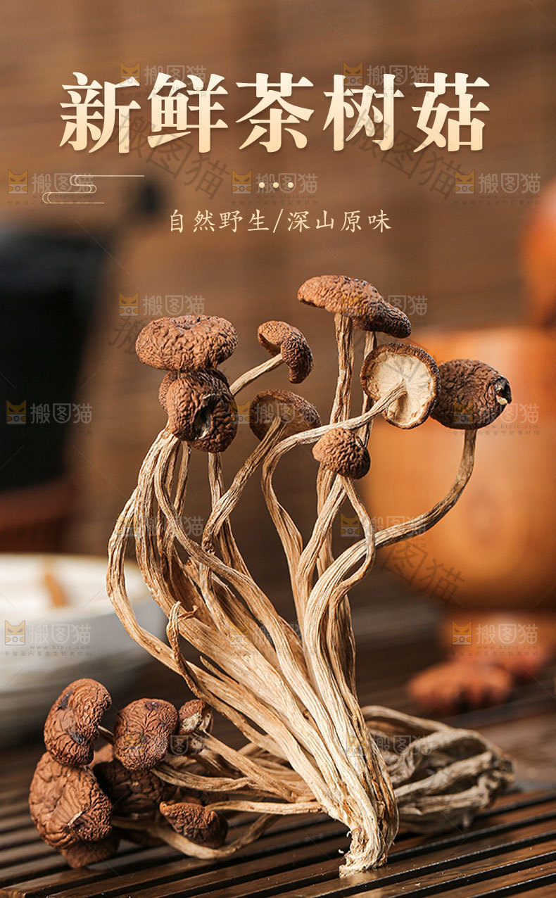 新鲜茶树菇详情页