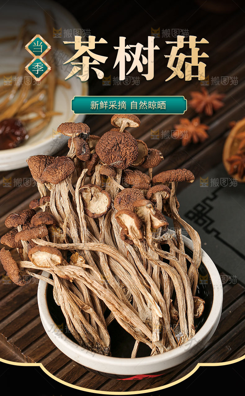 当季茶树菇详情页