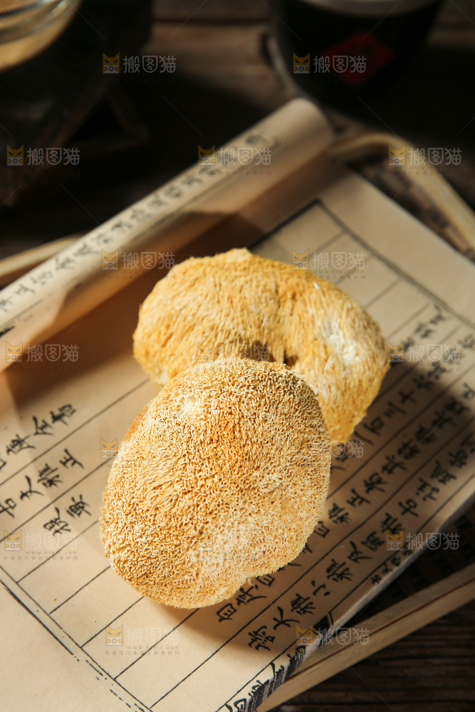 深底上的猴头菇