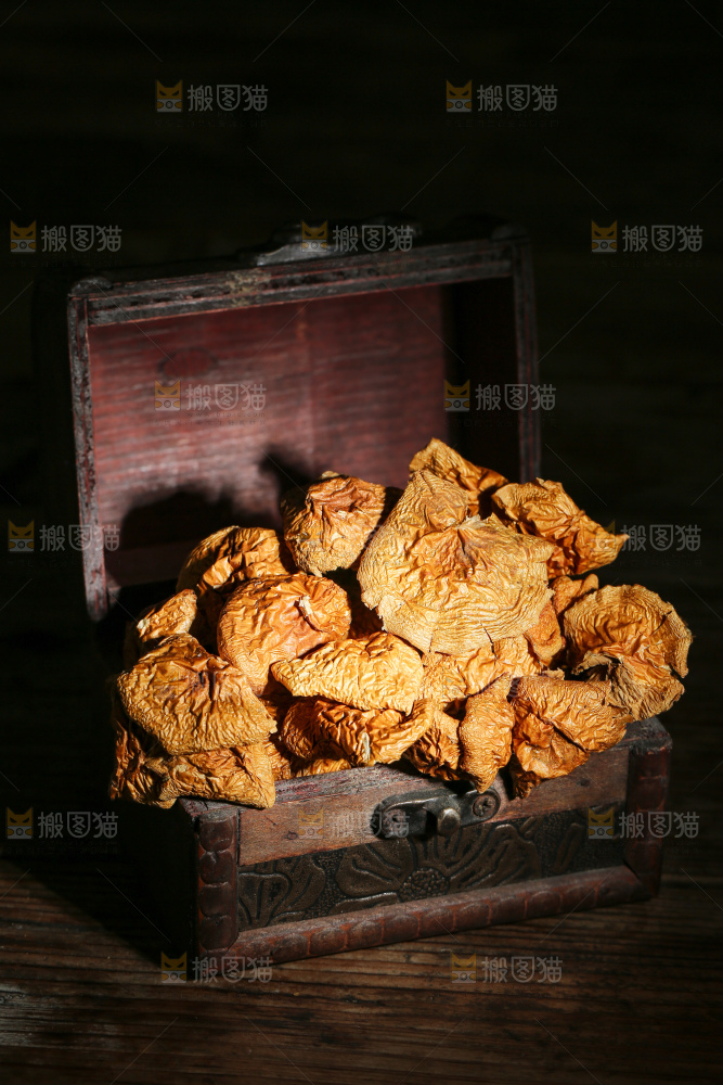 深底上的滑子菇
