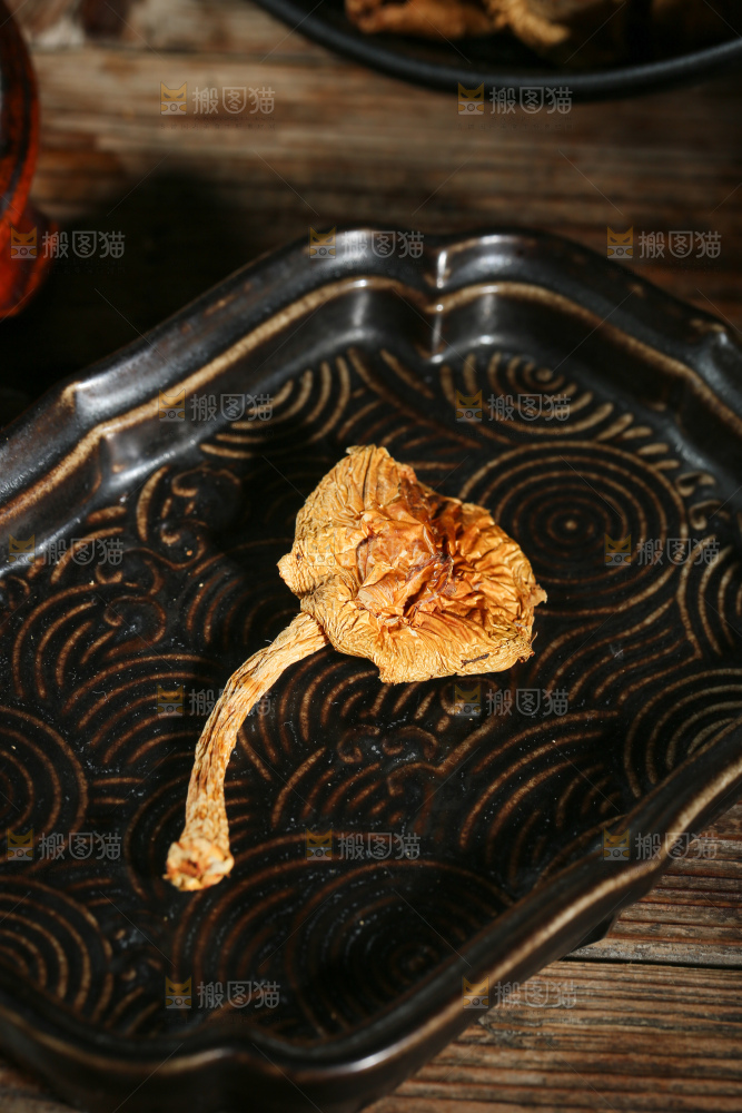 深底上的滑子菇