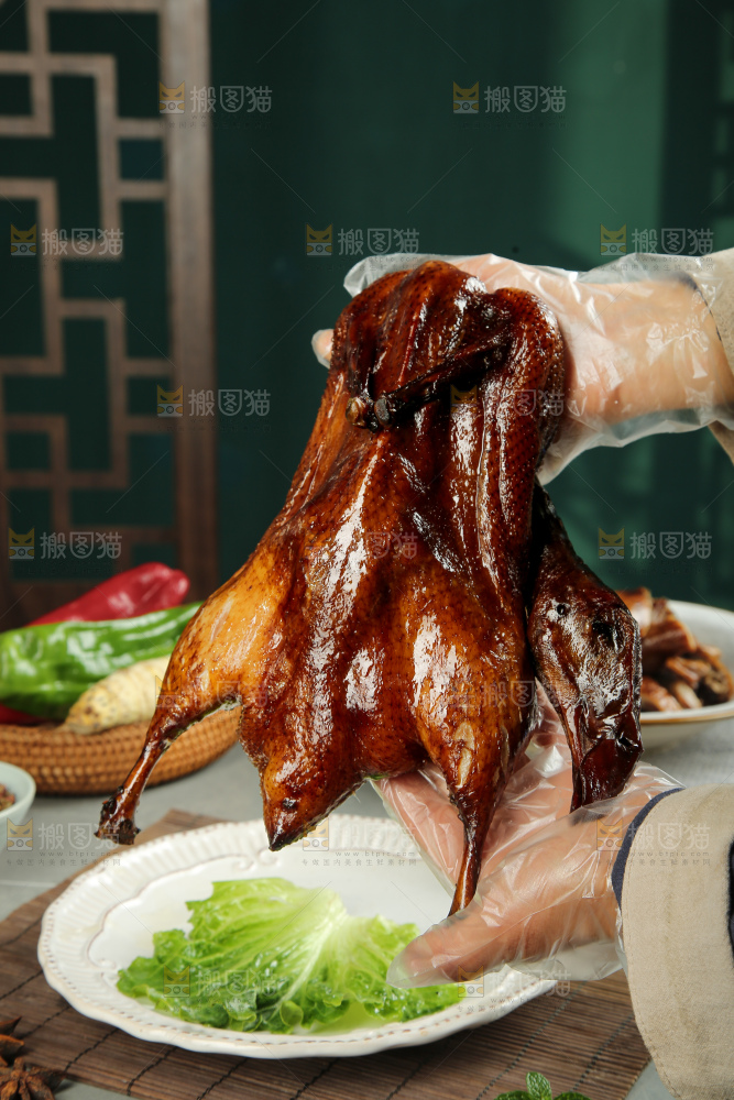 深底上的酱鹅