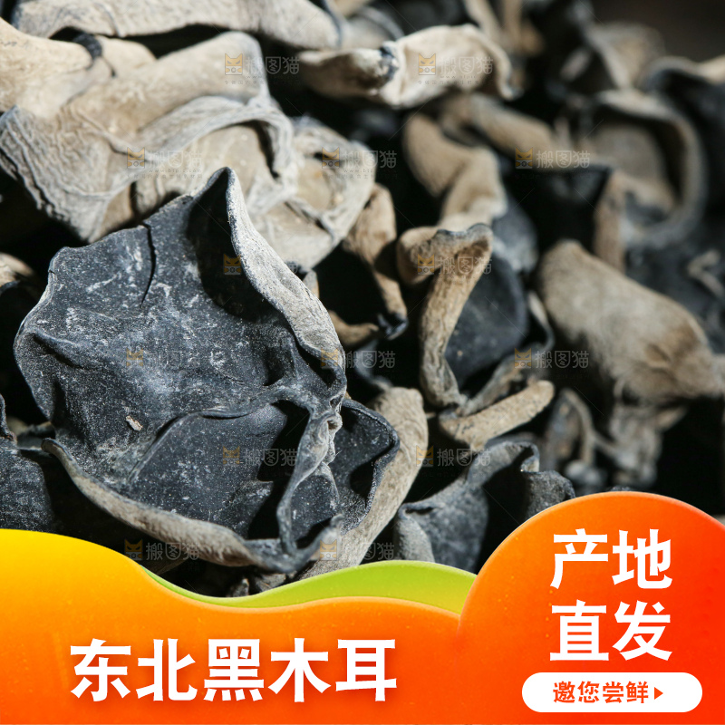 深底上的黑木耳