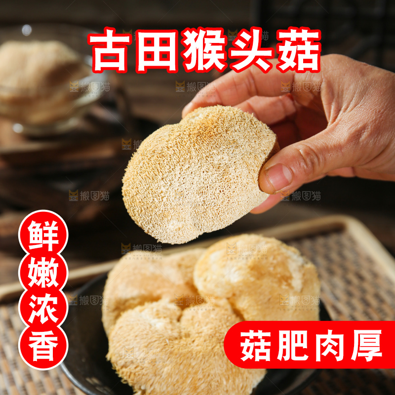深底上的猴头菇