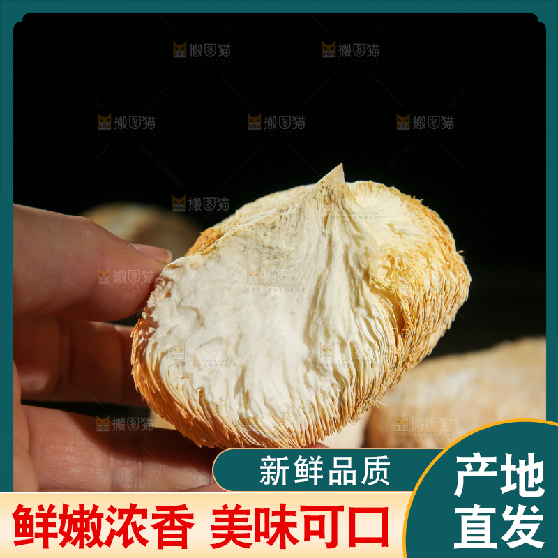 深底上的猴头菇