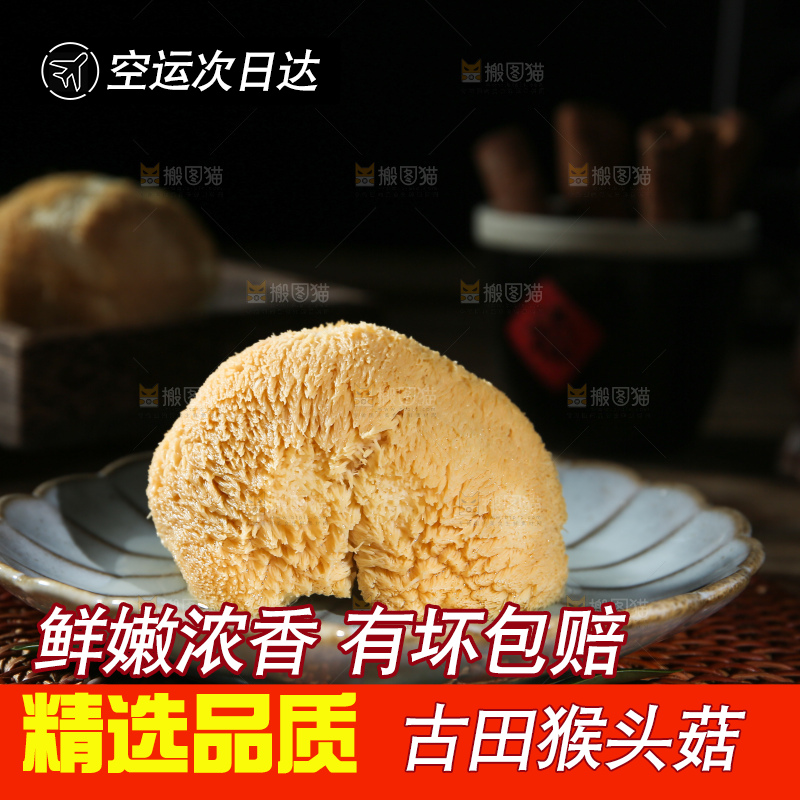 深底上的猴头菇