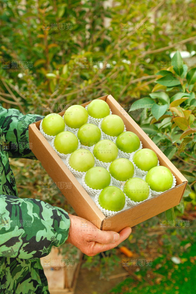 盒子里装着牛奶枣