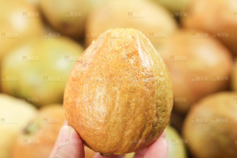 木底上的红心芭乐