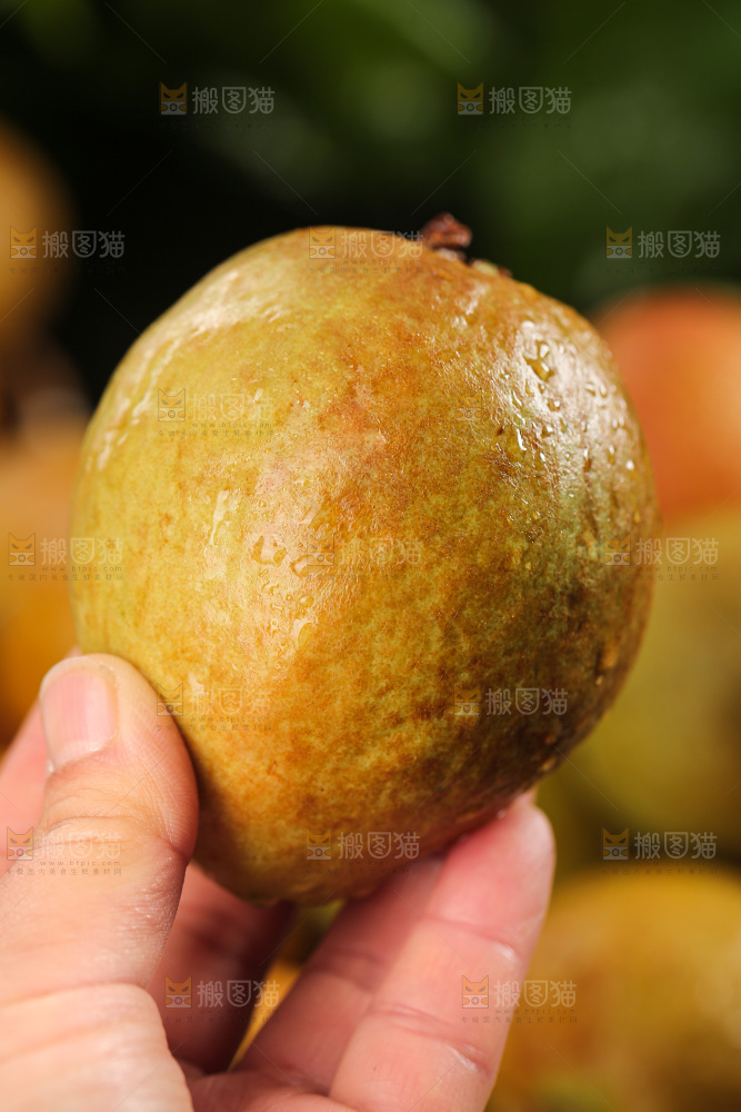 木底上的红心芭乐