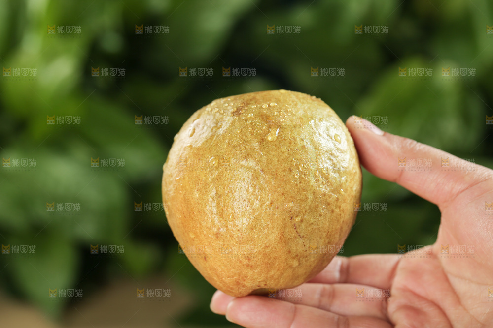 木底上的红心芭乐