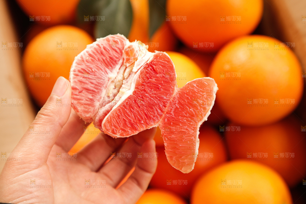 新鲜血橙