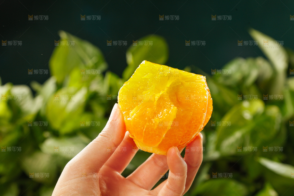 深底上的脐橙