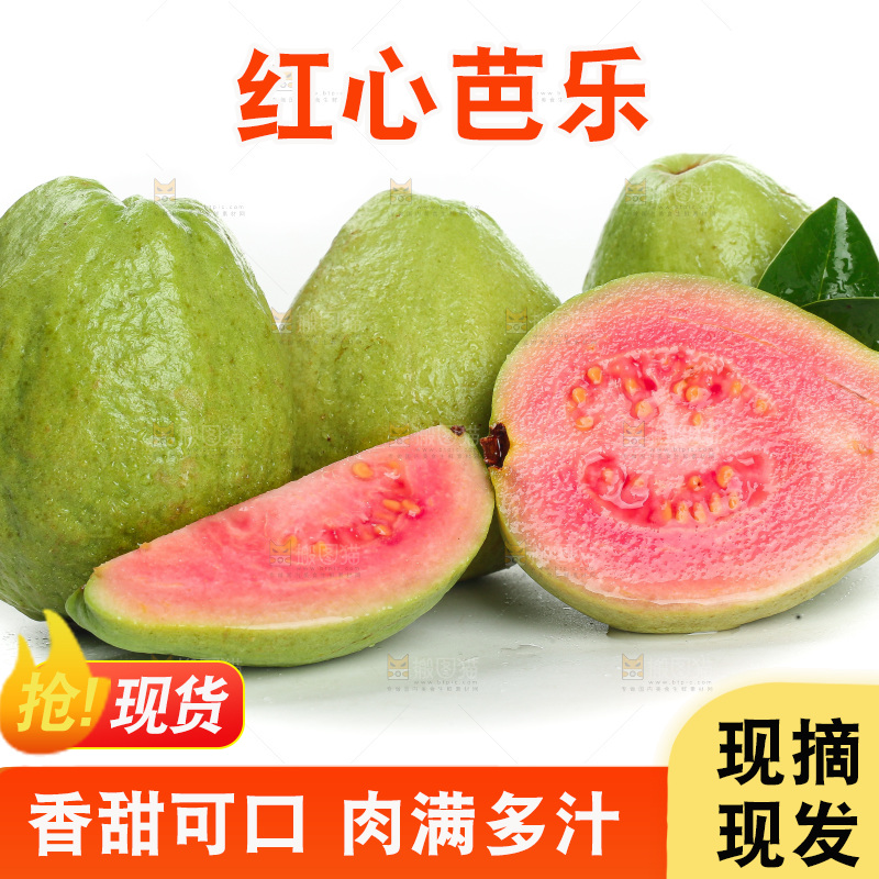 白底上的红心芭乐