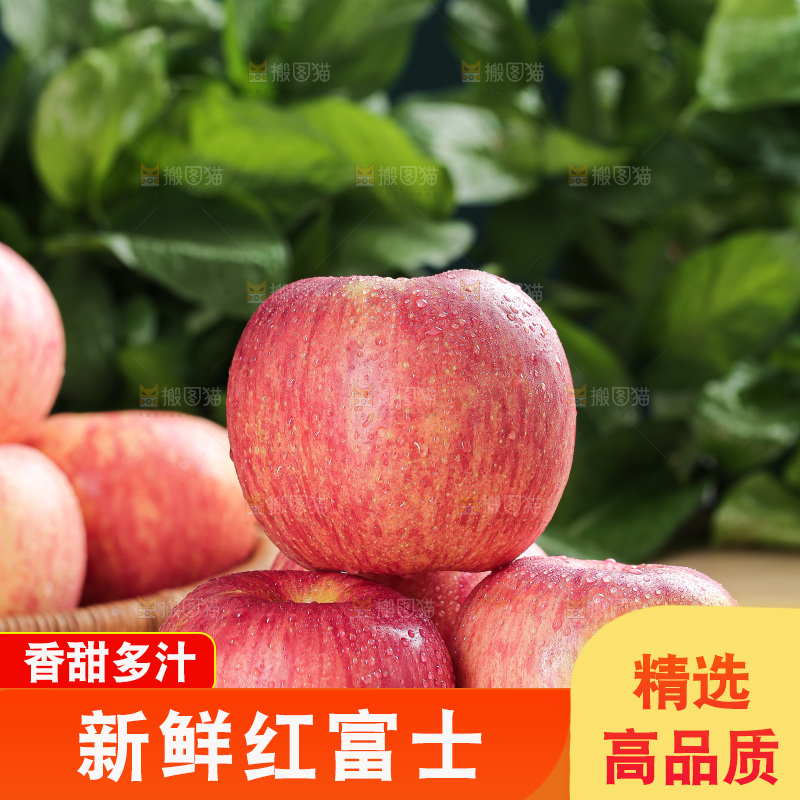 浅底上的红富士苹果