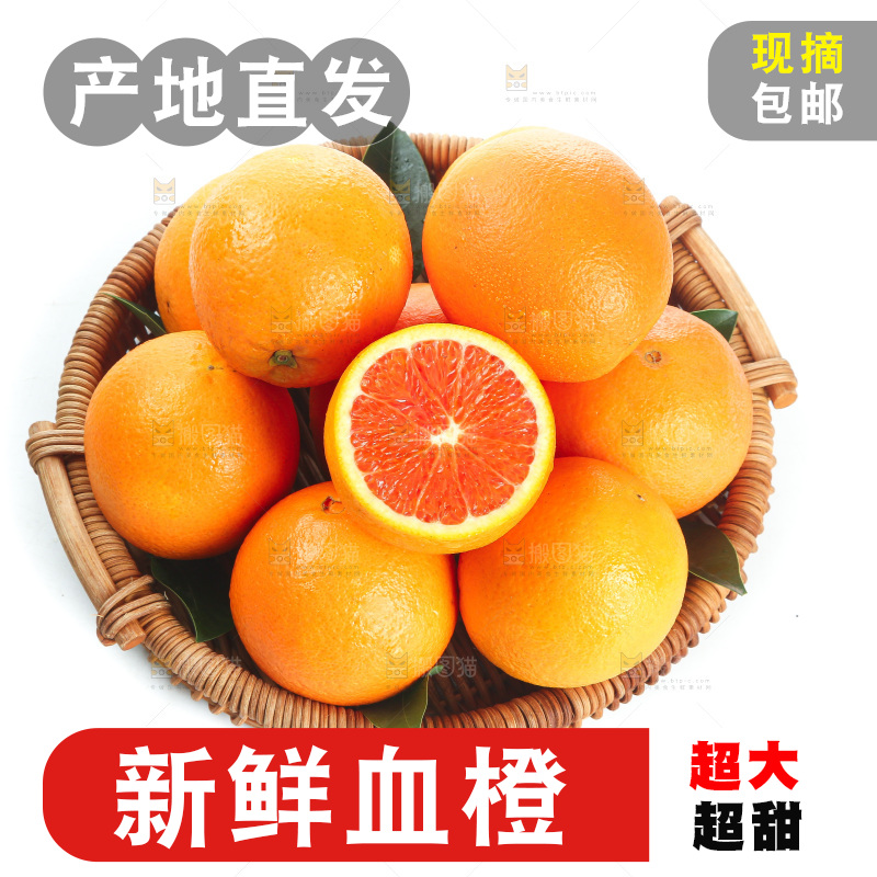 白底上的血橙