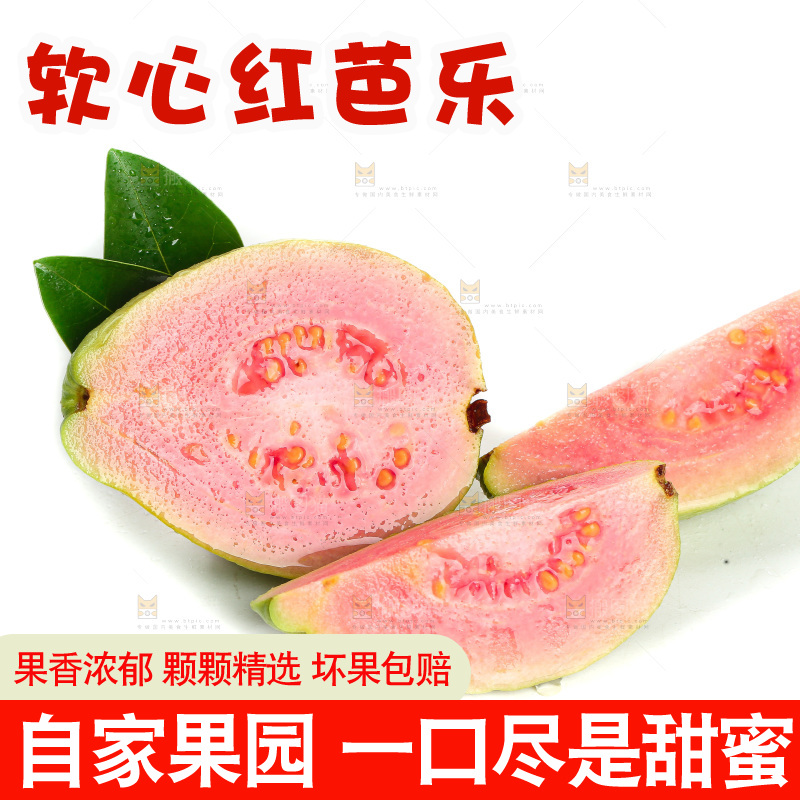 白底上的红心芭乐