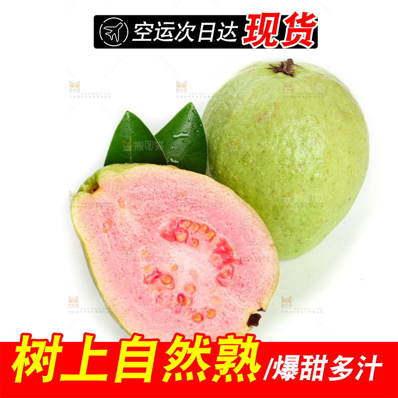白底上的红心芭乐