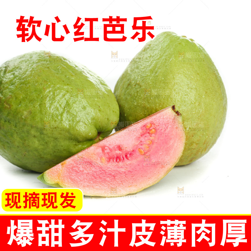 白底上的红心芭乐