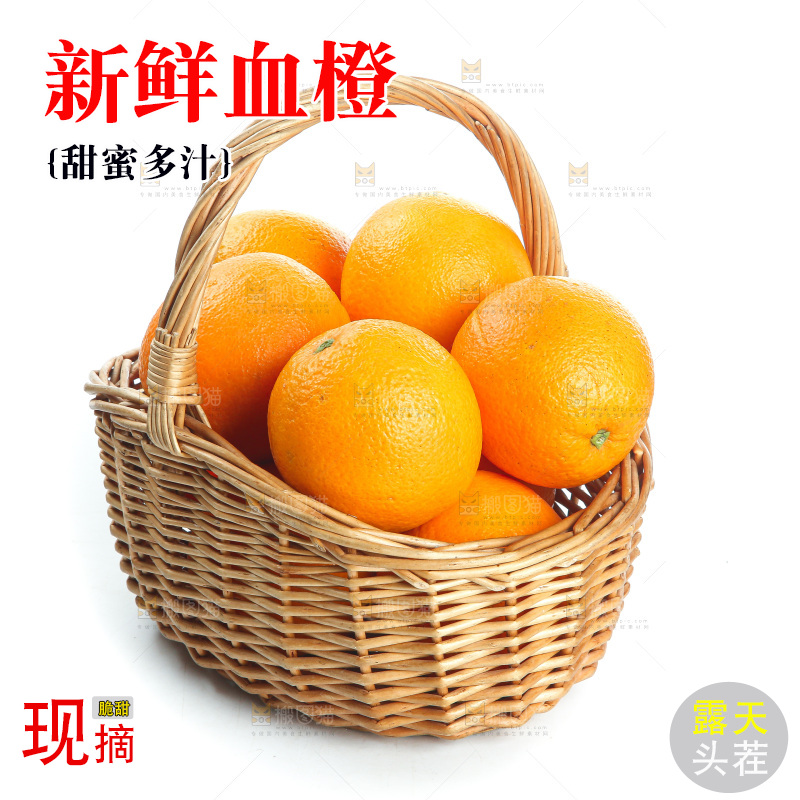 白底上的血橙