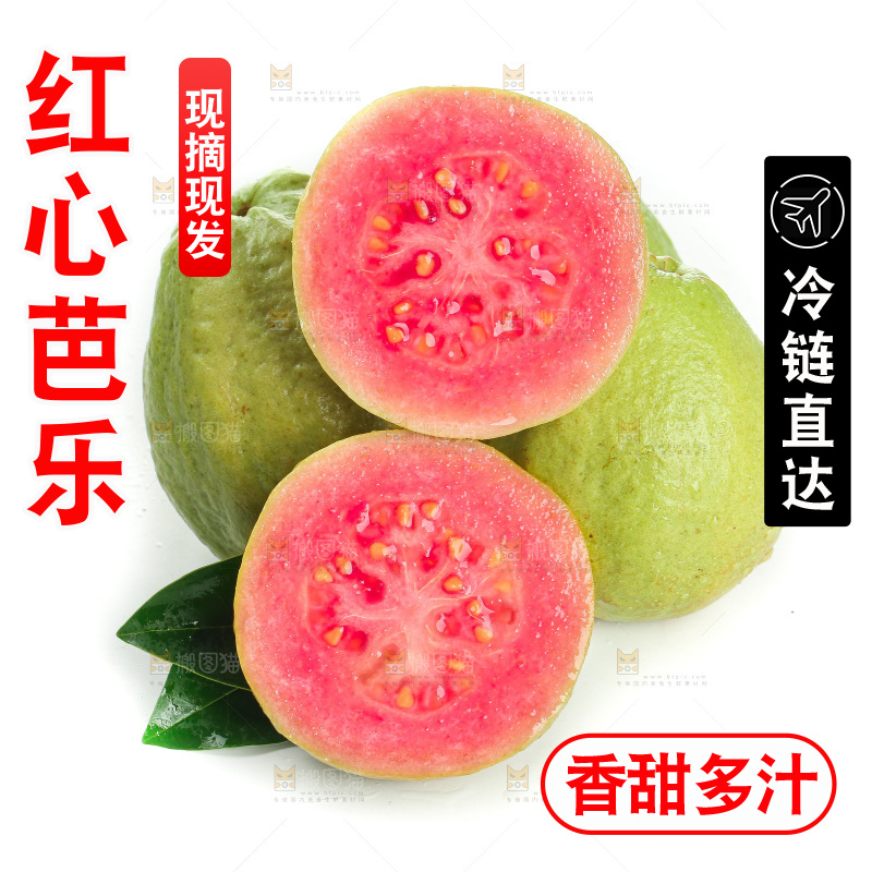 白底上的红心芭乐