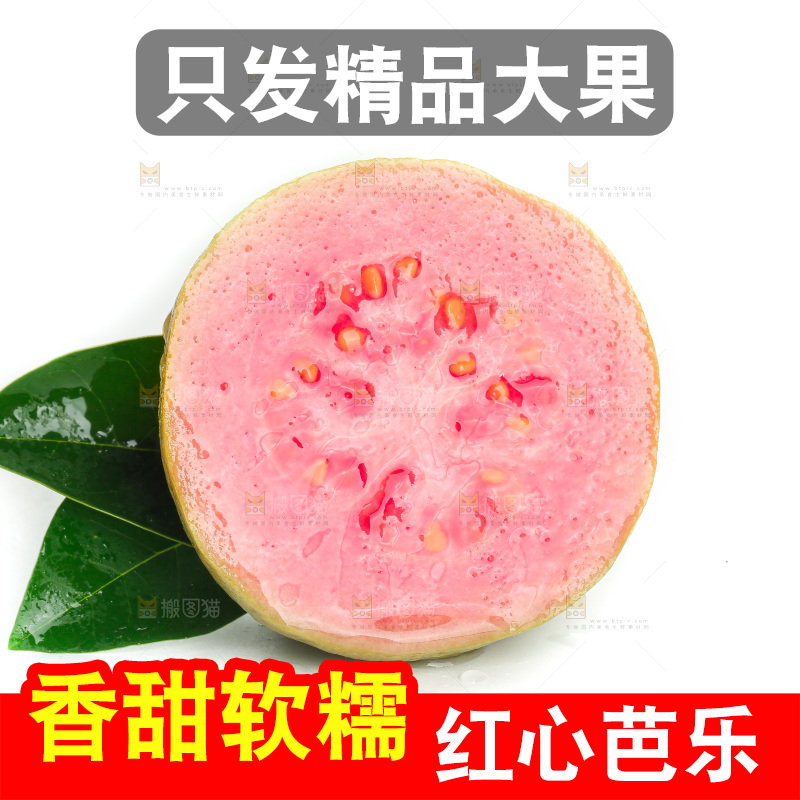 白底上的红心芭乐