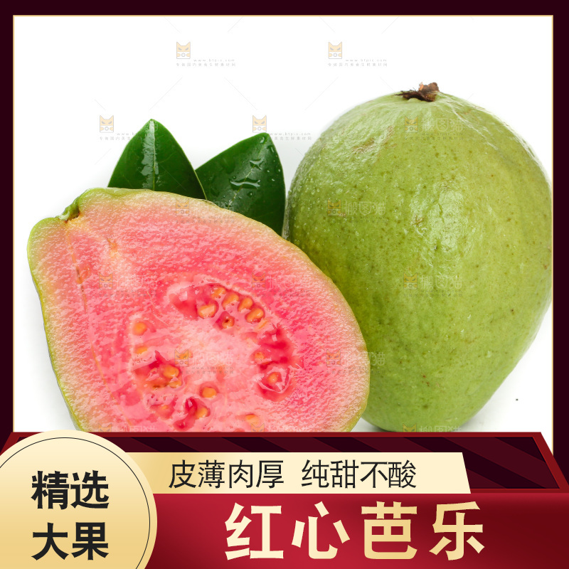 白底上的红心芭乐