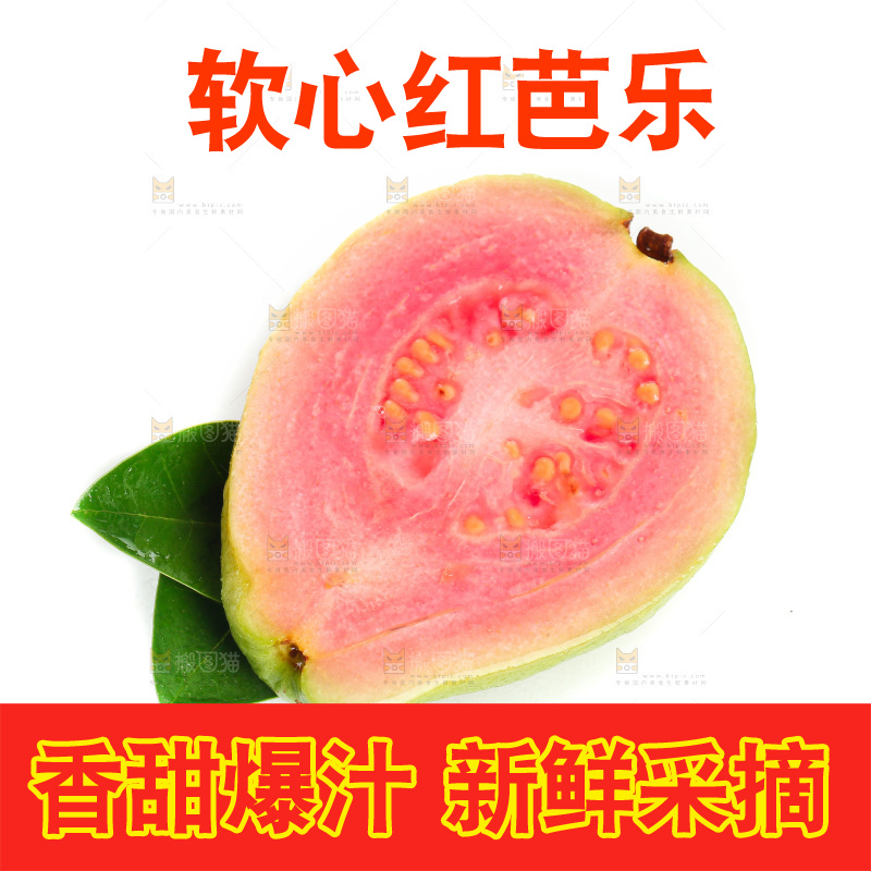 白底上的红心芭乐