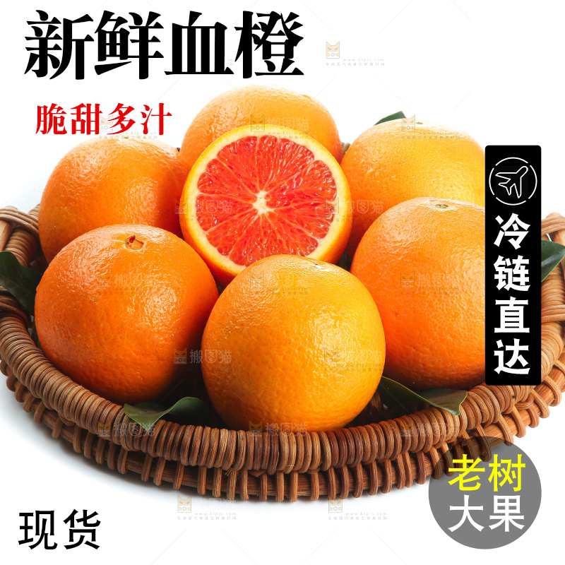 白底上的血橙