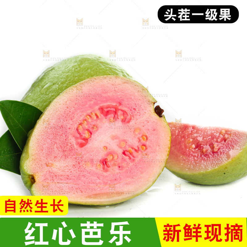 白底上的红心芭乐