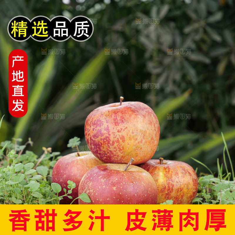 深底上的丑苹果