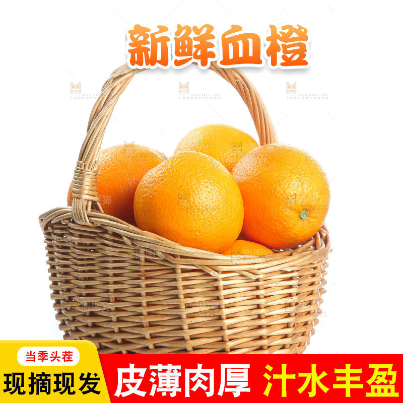 白底上的血橙